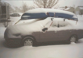 paddle on