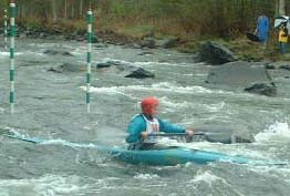 Fiddlehead Slalom Race